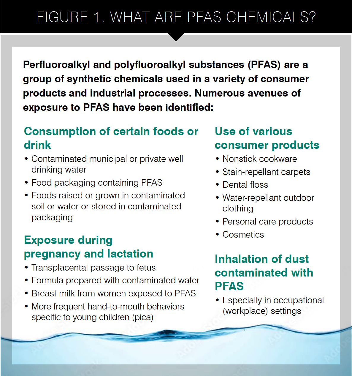 FIGURE 1. WHAT ARE PFAS CHEMICALS?