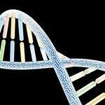 Who Needs Genetic Testing for GYN Cancer?