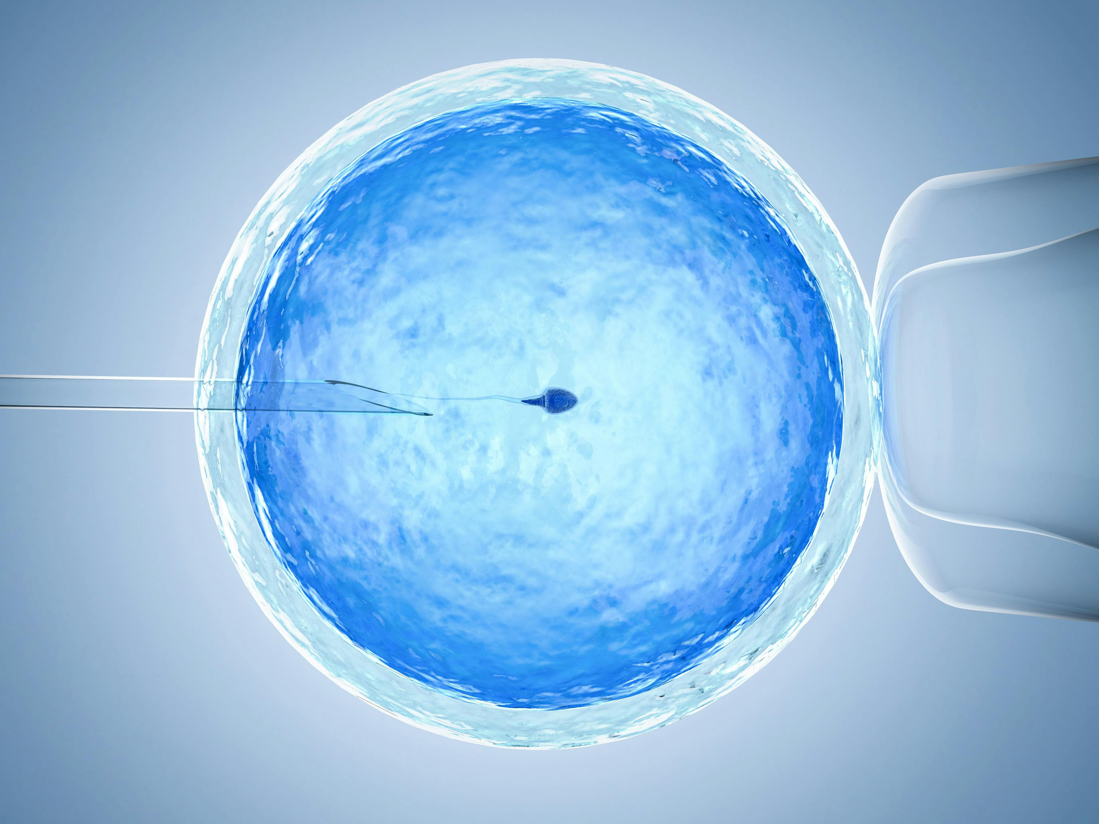 Increased CASP8 expression linked to better IVF outcomes for older women | Image Credit: © phonlamaiphoto - © phonlamaiphoto - stock.adobe.com.