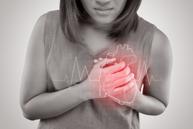 Effects of irregular menstrual cycles on cardiovascular health | Image Credit: © eddows - © eddows - stock.adobe.com.