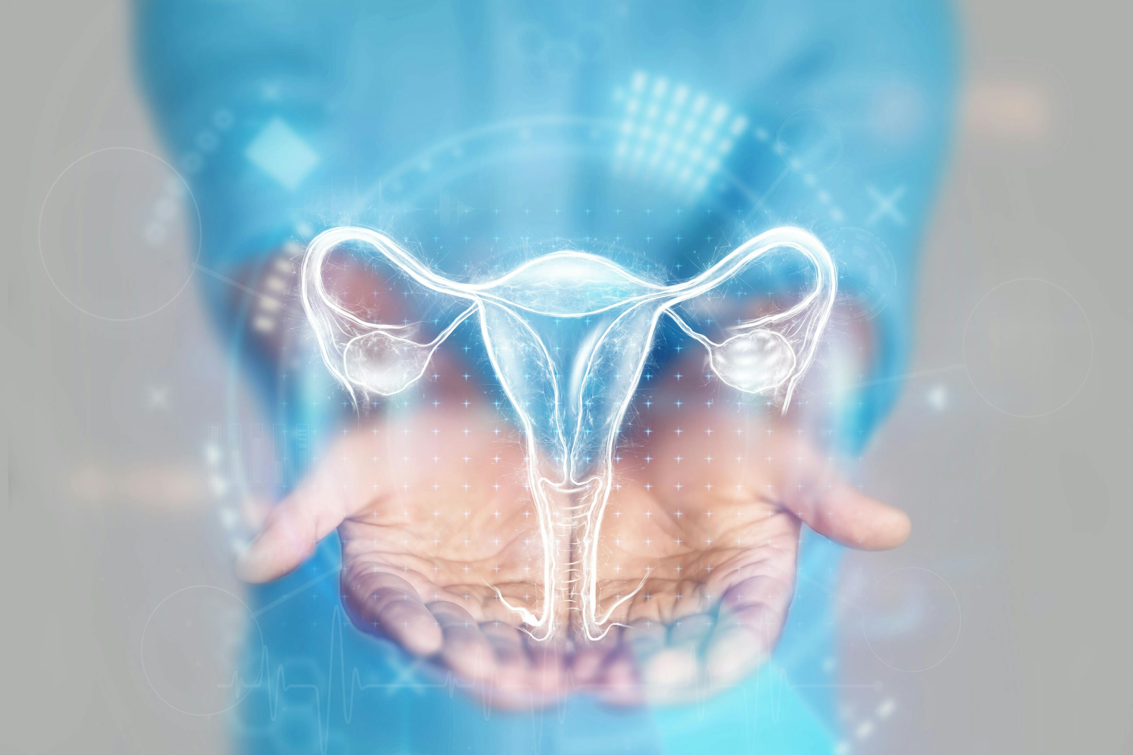 Isthmic contractions and pregnancy assessment: New ultrasound insights | Image Credit: © Aliaksandr Marko - © Aliaksandr Marko - stock.adobe.com.