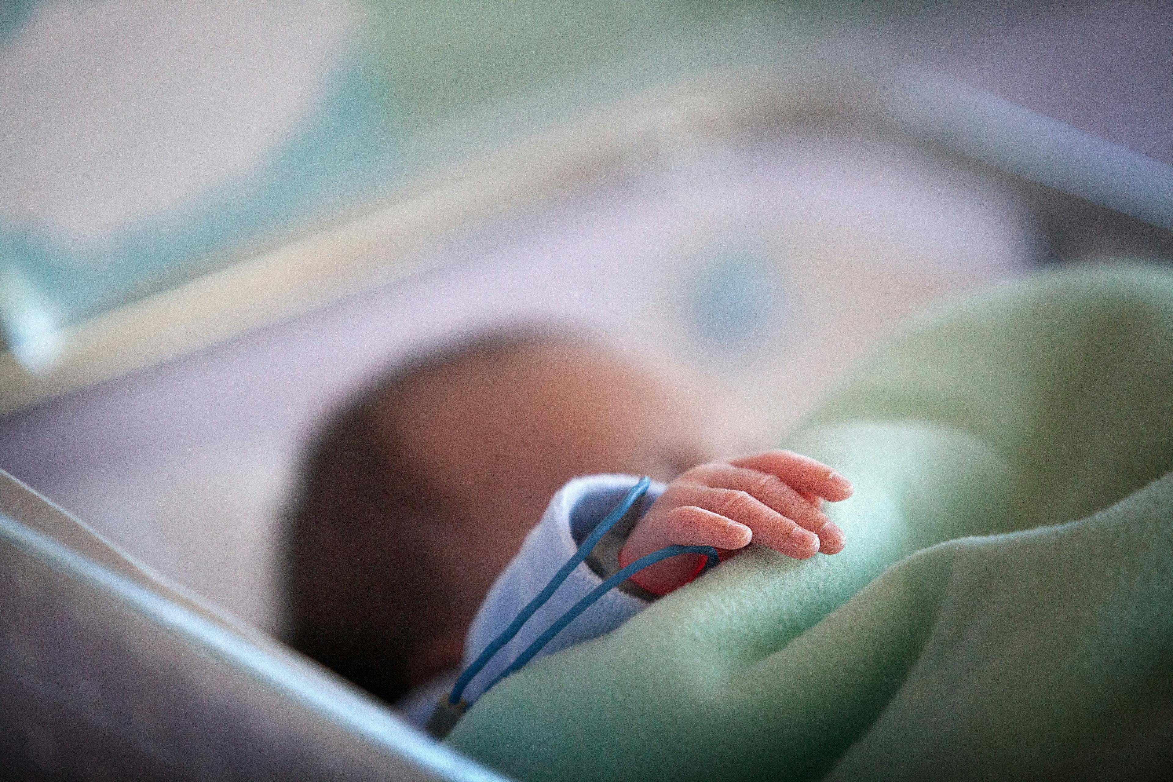 First successful in-utero brain surgery performed | Image Credit: © RFBSIP - © RFBSIP - stock.adobe.com.