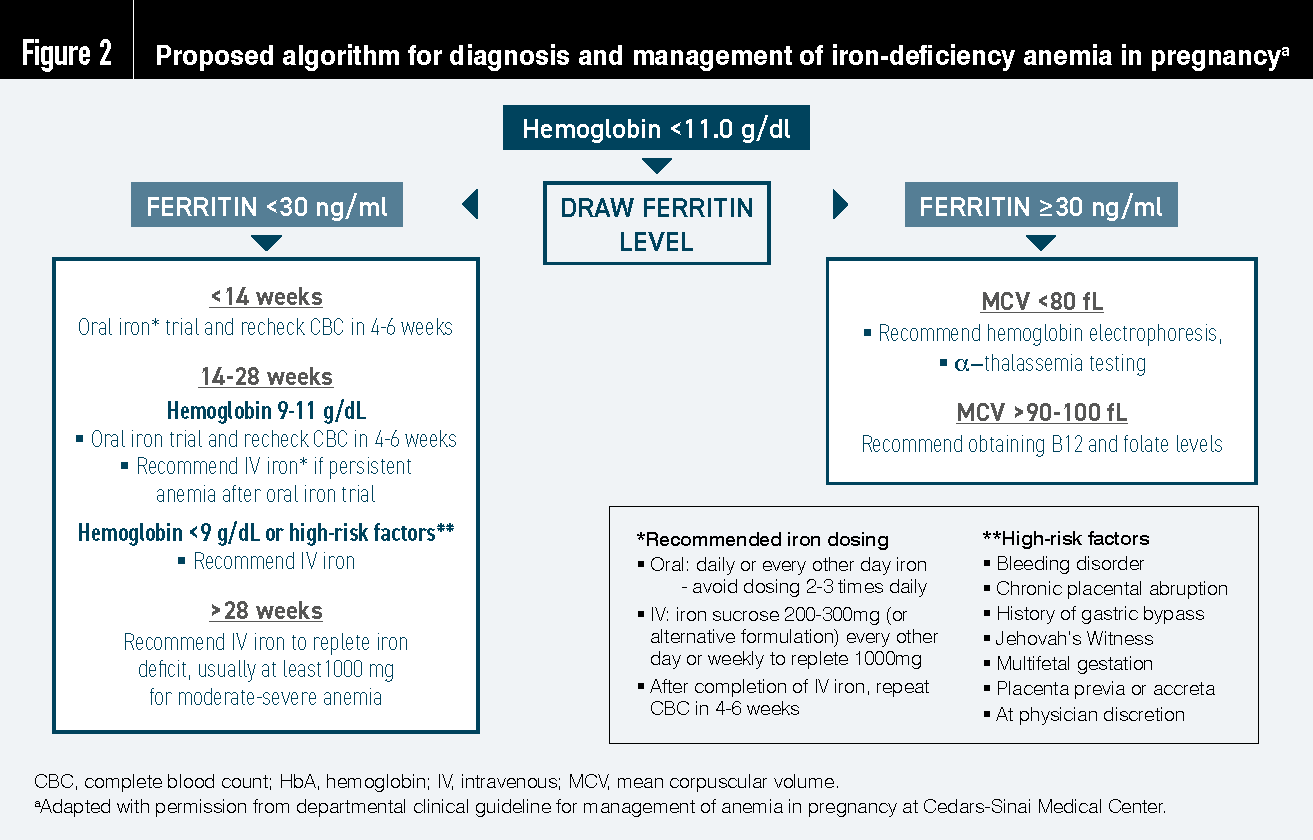 Proposed algorithm for diagnosis and management of iron-deficiency anemia in pregnancy