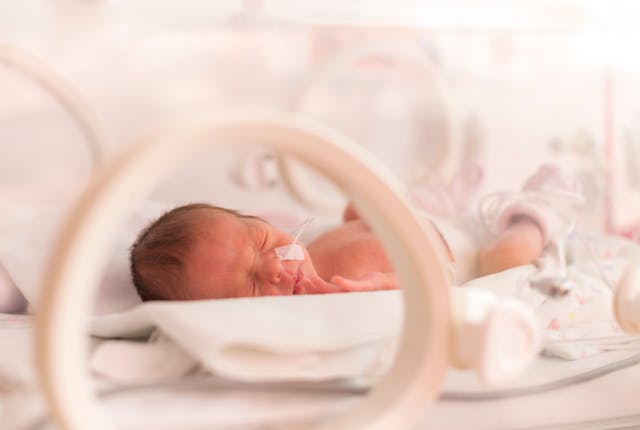 Study: Vaginal progesterone does not prevent preterm birth in twin gestations | Image Credit: © ondrooo - © ondrooo - stock.adobe.com.