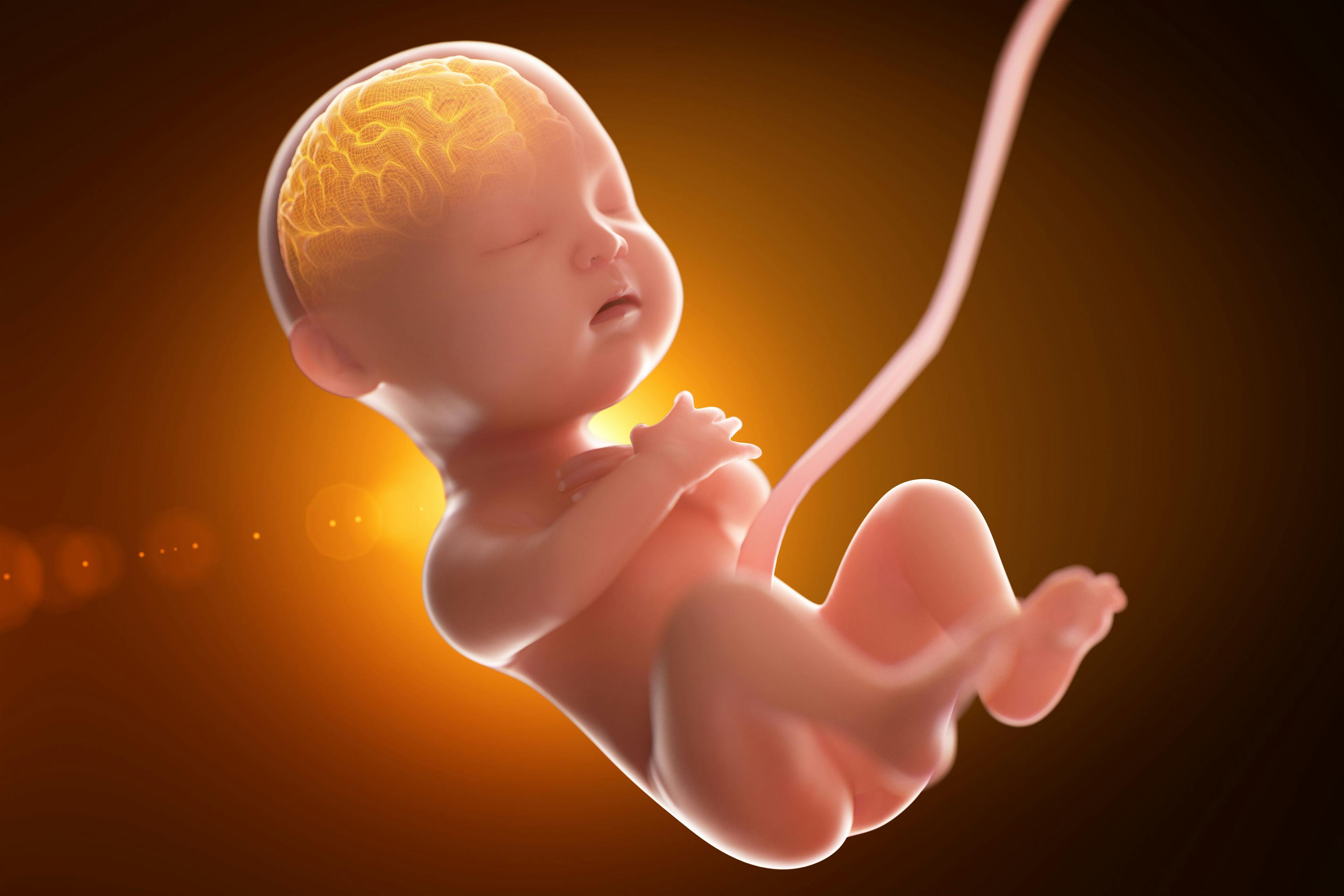 3D imaging tracks fetal head and brain shape during labor