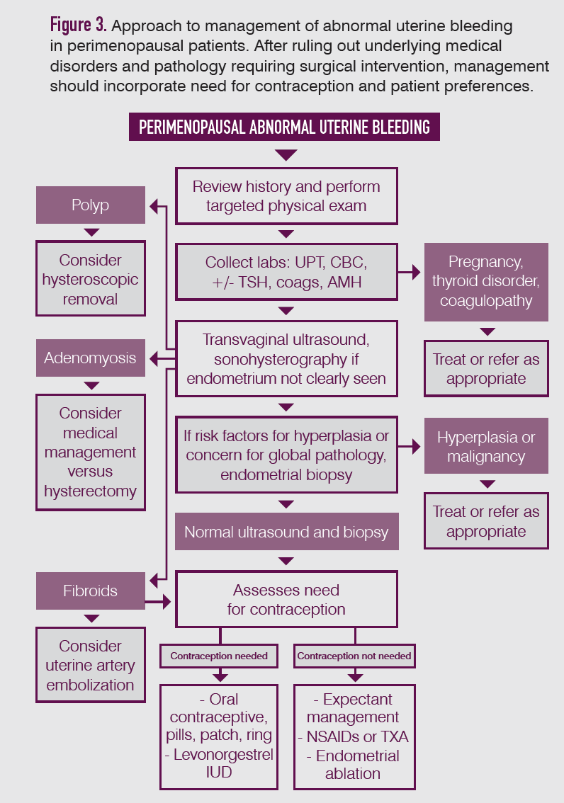 Figure 3. Approach to management of abnormal uterine bleeding in perimenopausal patients. After ruling out underlying medical disorders and pathology requiring surgical intervention, management should incorporate need for contraception and patient preferences.