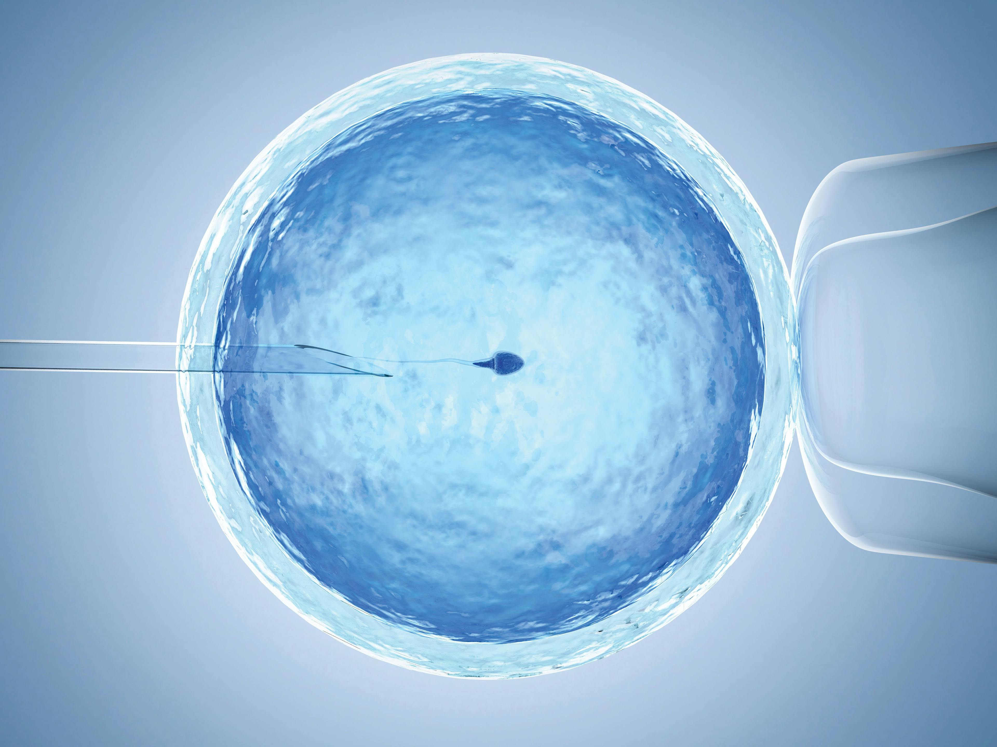Not just abortion: How the demise of Roe v Wade may impact fertility care