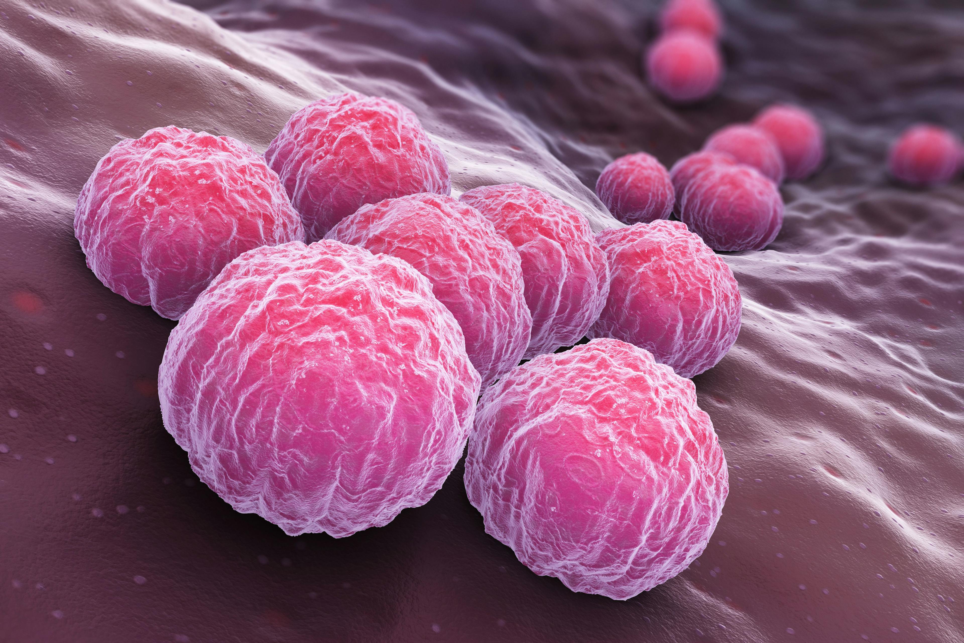 Study finds Mycoplasma genitalium just as prevalent as Chlamydia trachomatis at health center