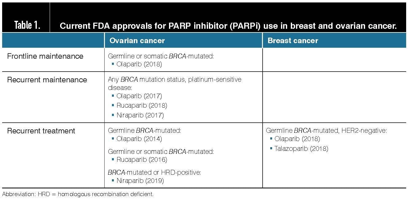 Current FDA approvals for PARP inhibitor use