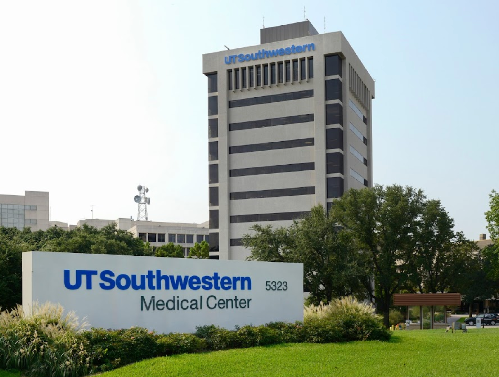Spong named chair of Obstetrics and Gynecology at UT Southwestern