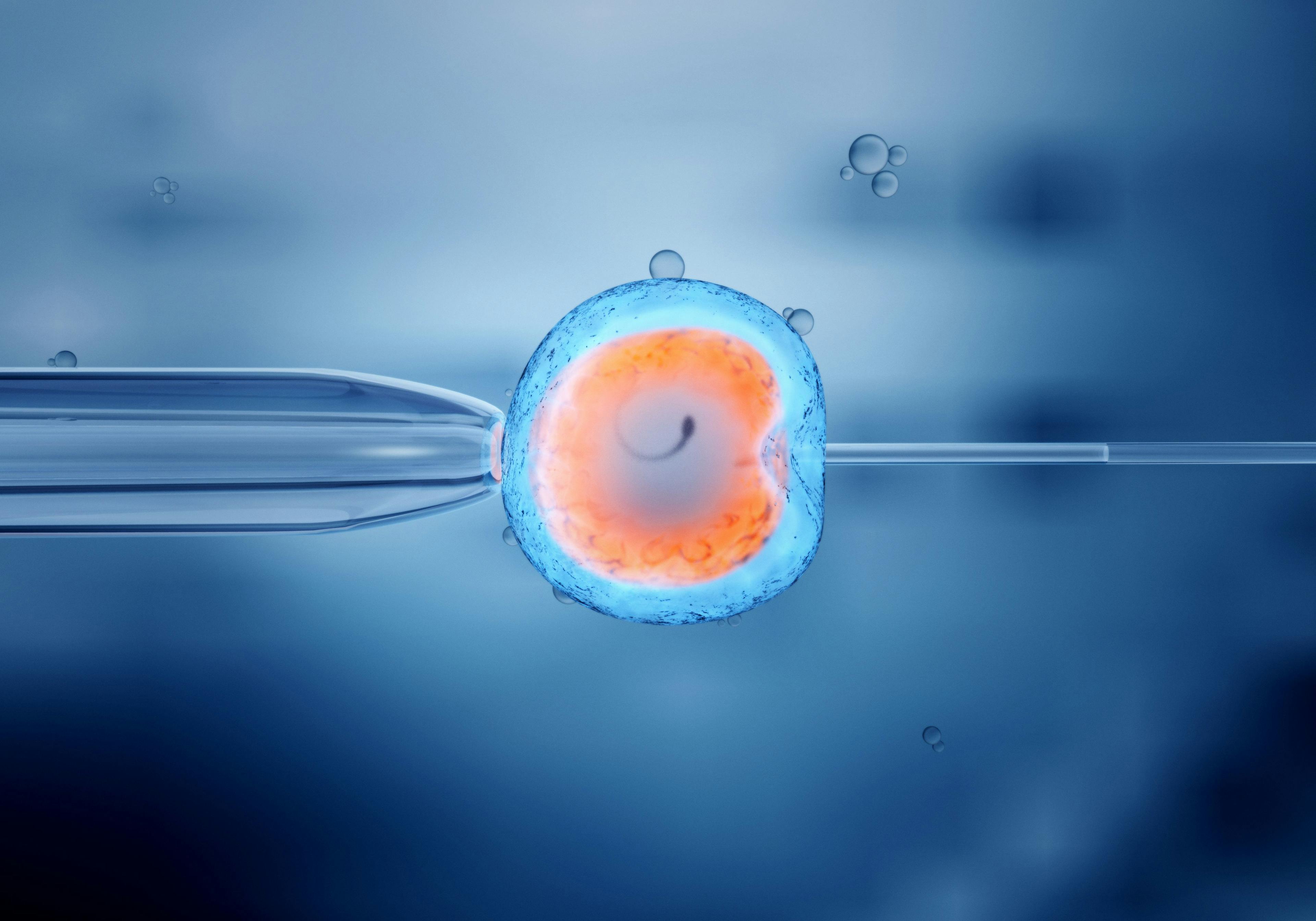 SART data indicates rise in IVF use in 2022 | Image Credit: © Christoph Burgstedt - © Christoph Burgstedt - stock.adobe.com.