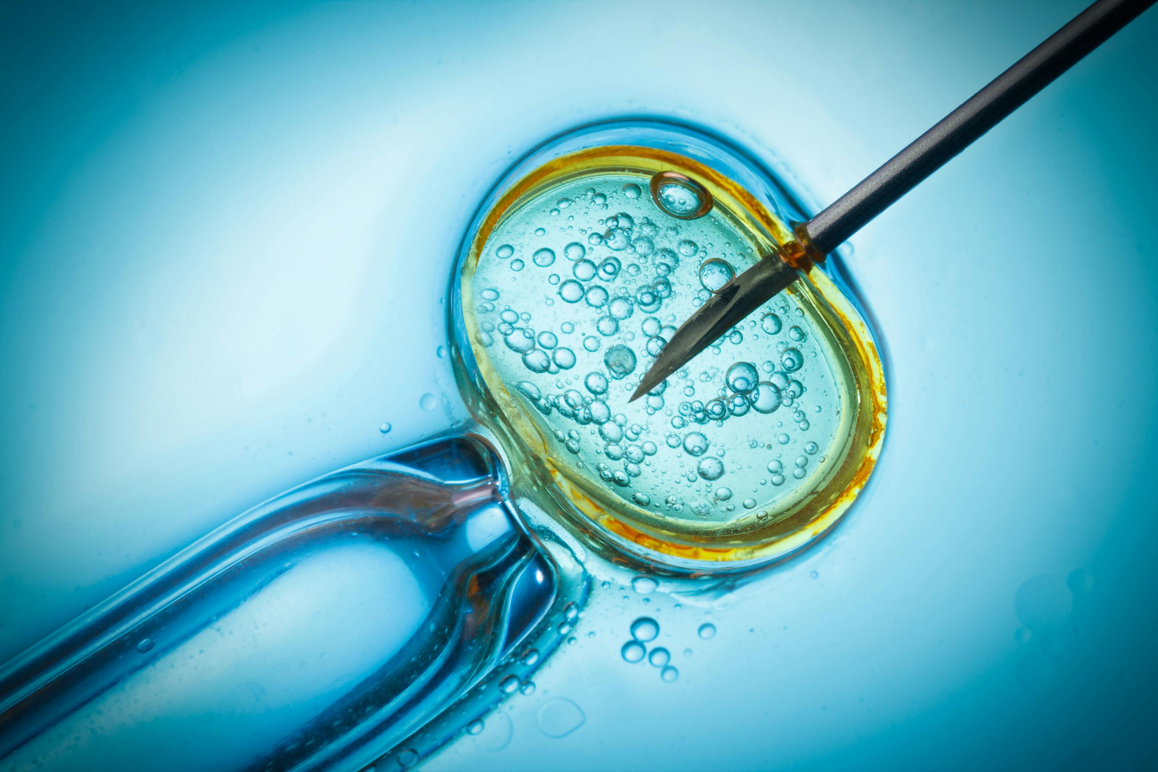 Impact of serum estradiol decline before hCG-triggering on IVF outcomes | Image Credit: © nevodka.com - © nevodka.com - stock.adobe.com.