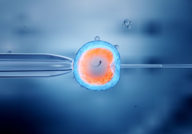 Early pregnancy complications after frozen-thawed embryo transfer