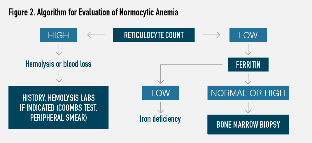 Figure 2. Algorithm for Evaluation of Normocytic Anemia